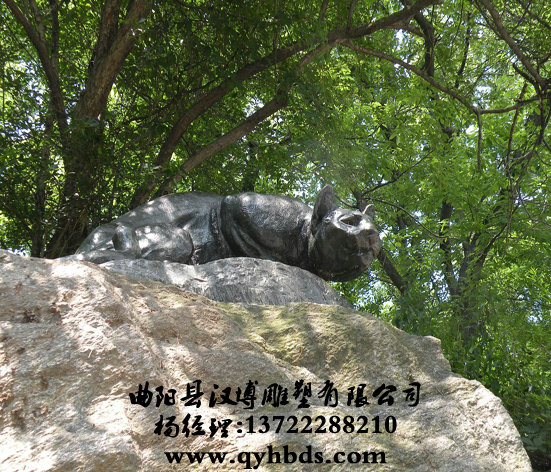 ���ܶ�������