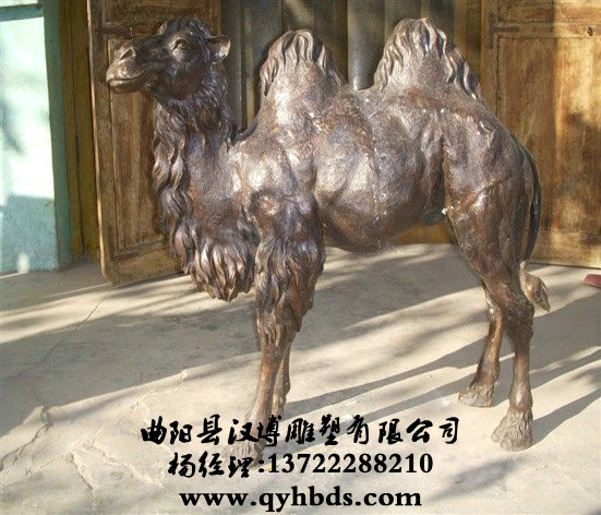 ���ܶ�������